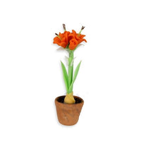 Amarayllis i pott, orange