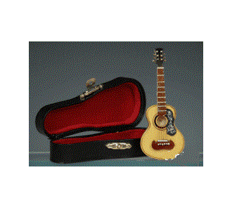 Spansk guitar i læderbox