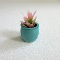Pink plante i türkis potte