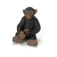 Chimpanse