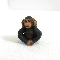 Chimpanse unge, resin