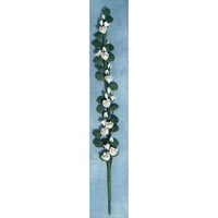 Rosen-ranke hvid