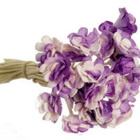 Gypso purple 10 stk.