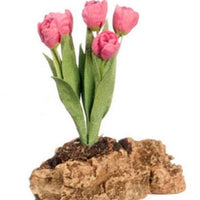 Tulipaner plantet på klippesten, rosa