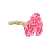 Gypso, Hot Pink 10 stk.