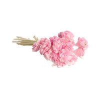 Gypso, pink 10 stk.