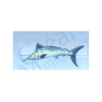 Blue Marlin