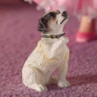 Jack Russell Terrier, Fergie