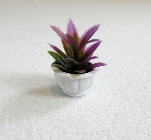 Lilla plante i hvid potte