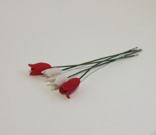 Tulipaner rød/hvid 4 stk. fimo