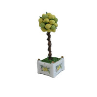 Reutter's lemon tree