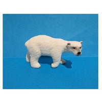 Polar bear cub