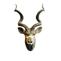 Kudu trofæ