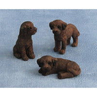 Labrador puppies per piece.