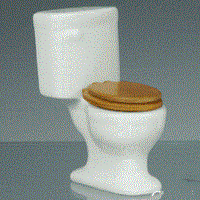Toilet, white porcelain