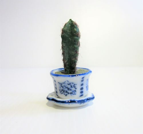 Kaktus i porcelænspotte m/ underskål