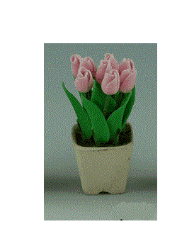 Tulipan,  baby pink i Provence potte