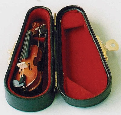 Violin i ,,Læder" kasse