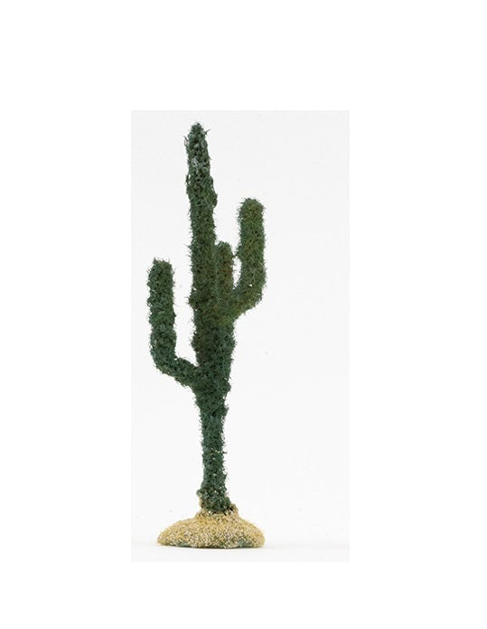 Saguro kaktus