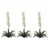 Yugga palme 3 stk.