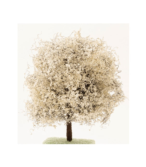 Kornel træ, hvid