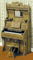 Organ KIT