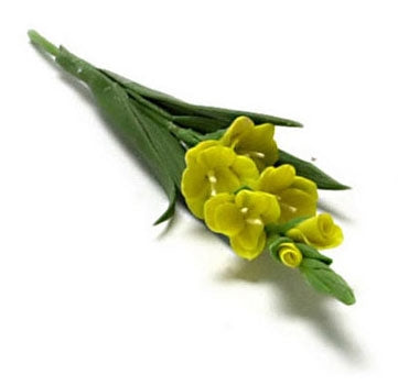 Gladiolus gul pr. stk.