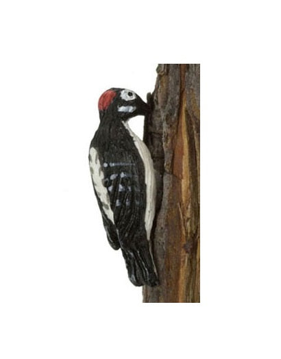 Downy woodpecker  - spætte