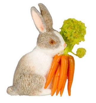 Kanin med gulerødder