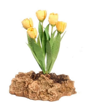 Tulipaner plantet på klippesten, gul