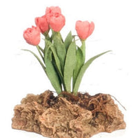 Tulipanplante