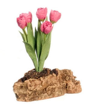 Tulipaner plantet på klippesten, rosa