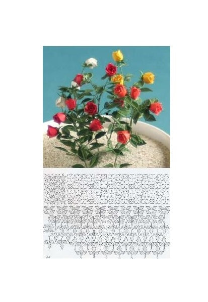 Rose Kit   5 stilke  (1 stilk har 4 blomster)