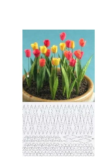 Tulipan KIT  21 blomster ( excl. potte)